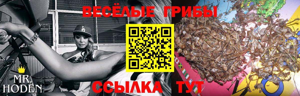 Псилоцибиновые грибы GOLDEN TEACHER Нижний Новгород