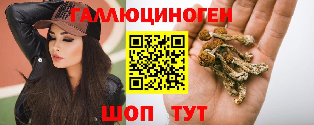 Галлюциногенные грибы Psilocybe  Вход с VPN  Нижний Новгород 